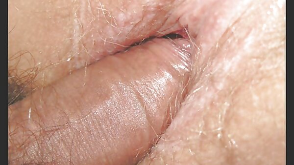 خانه آجری سبزه کثیف ایزابلا عاشق ژست سگی سکس جوراب شلواری است